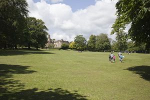 lister park landscape 1 sm.jpg